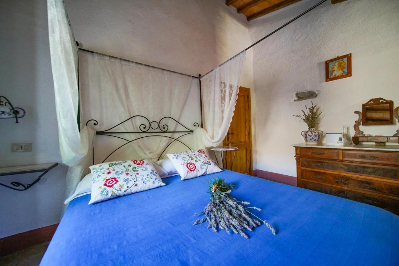 Agriturismo La Colombella 巴尼圣菲利波 外观 照片