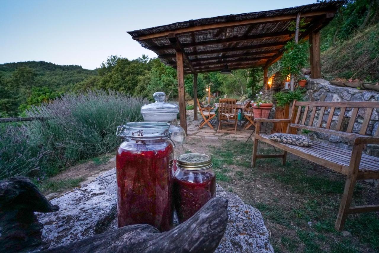 Agriturismo La Colombella 巴尼圣菲利波 外观 照片