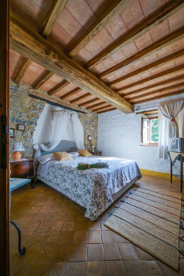 Agriturismo La Colombella 巴尼圣菲利波 外观 照片