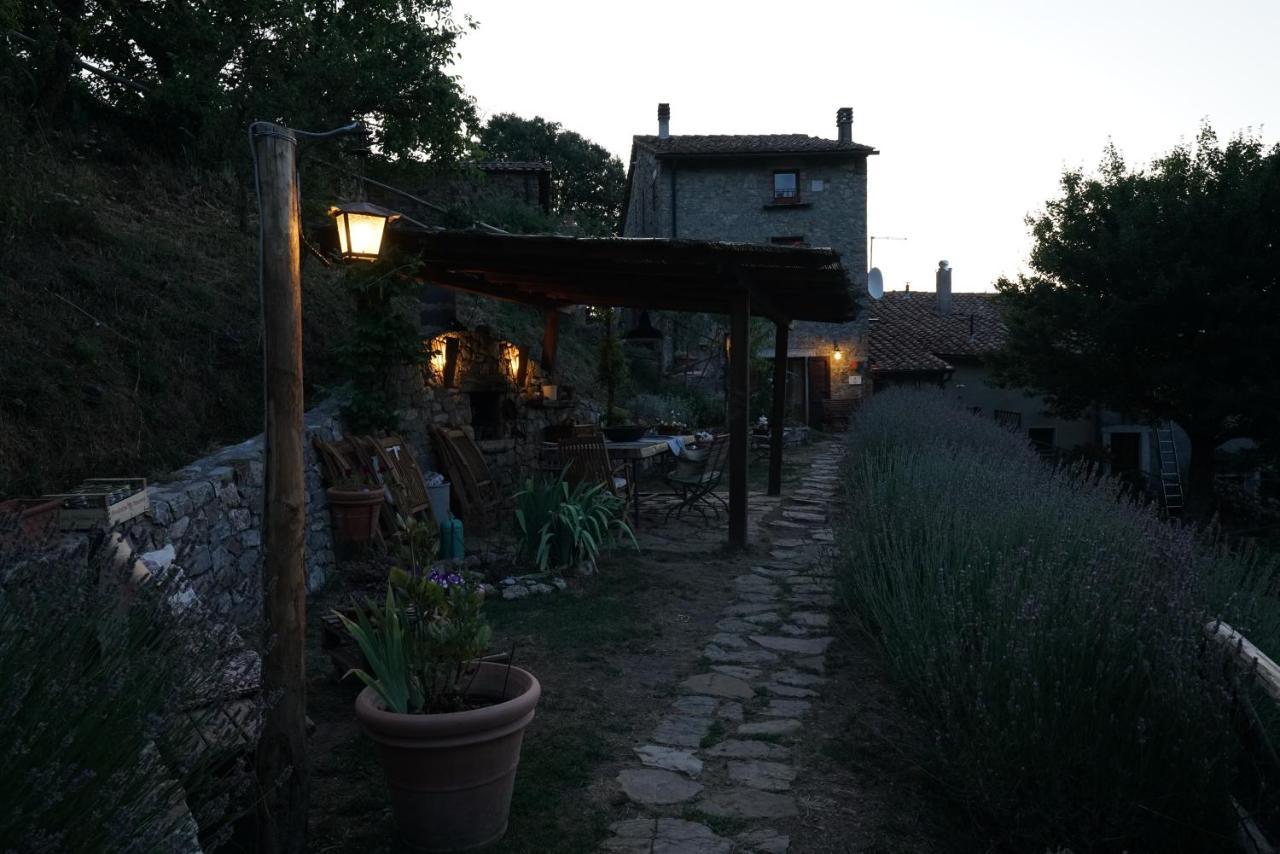 Agriturismo La Colombella 巴尼圣菲利波 外观 照片