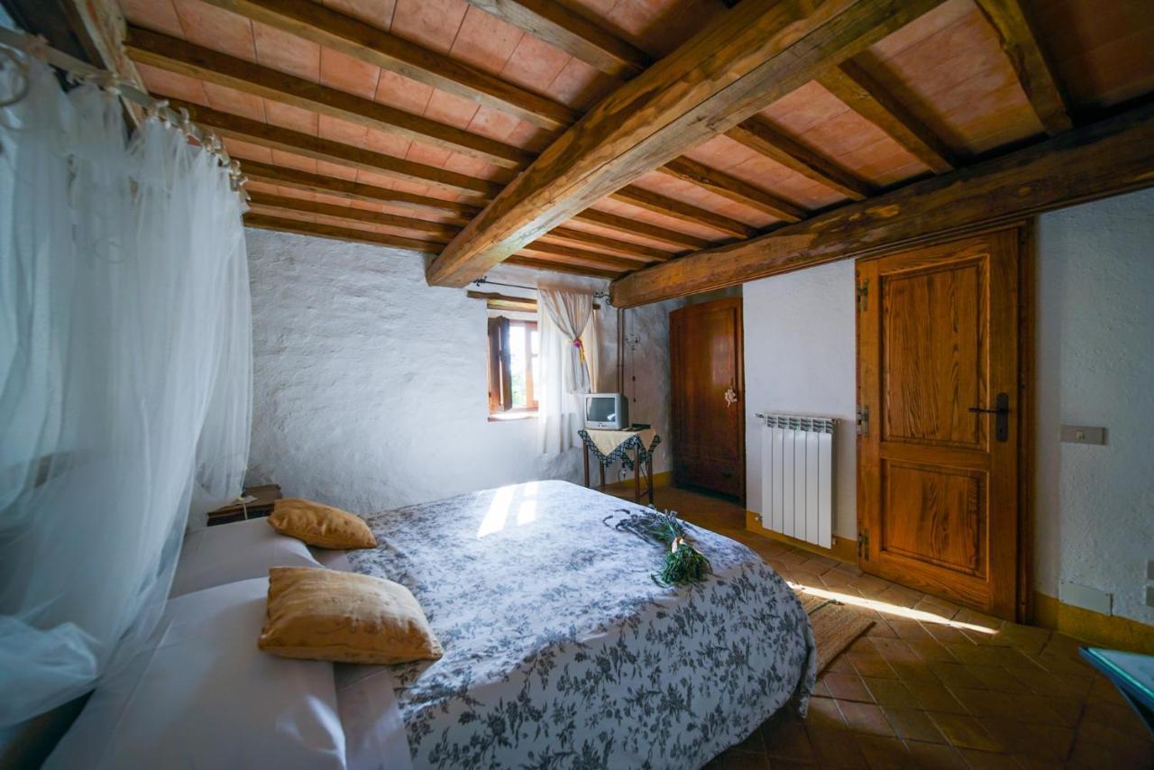 Agriturismo La Colombella 巴尼圣菲利波 外观 照片