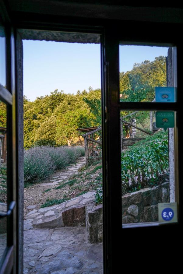 Agriturismo La Colombella 巴尼圣菲利波 外观 照片