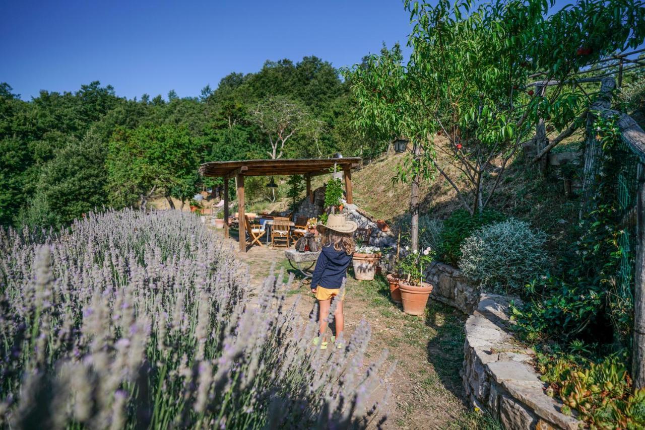 Agriturismo La Colombella 巴尼圣菲利波 外观 照片