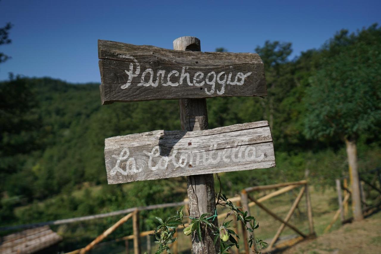 Agriturismo La Colombella 巴尼圣菲利波 外观 照片