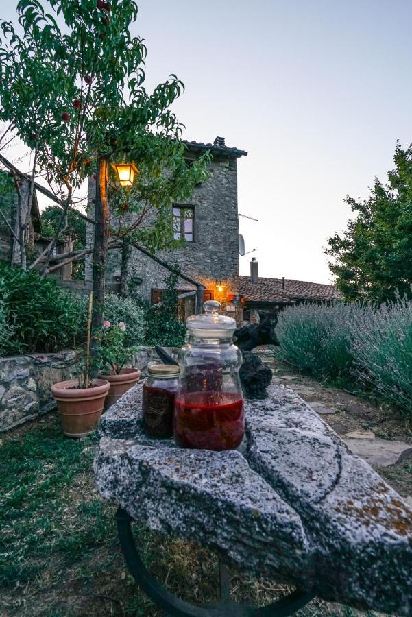 Agriturismo La Colombella 巴尼圣菲利波 外观 照片