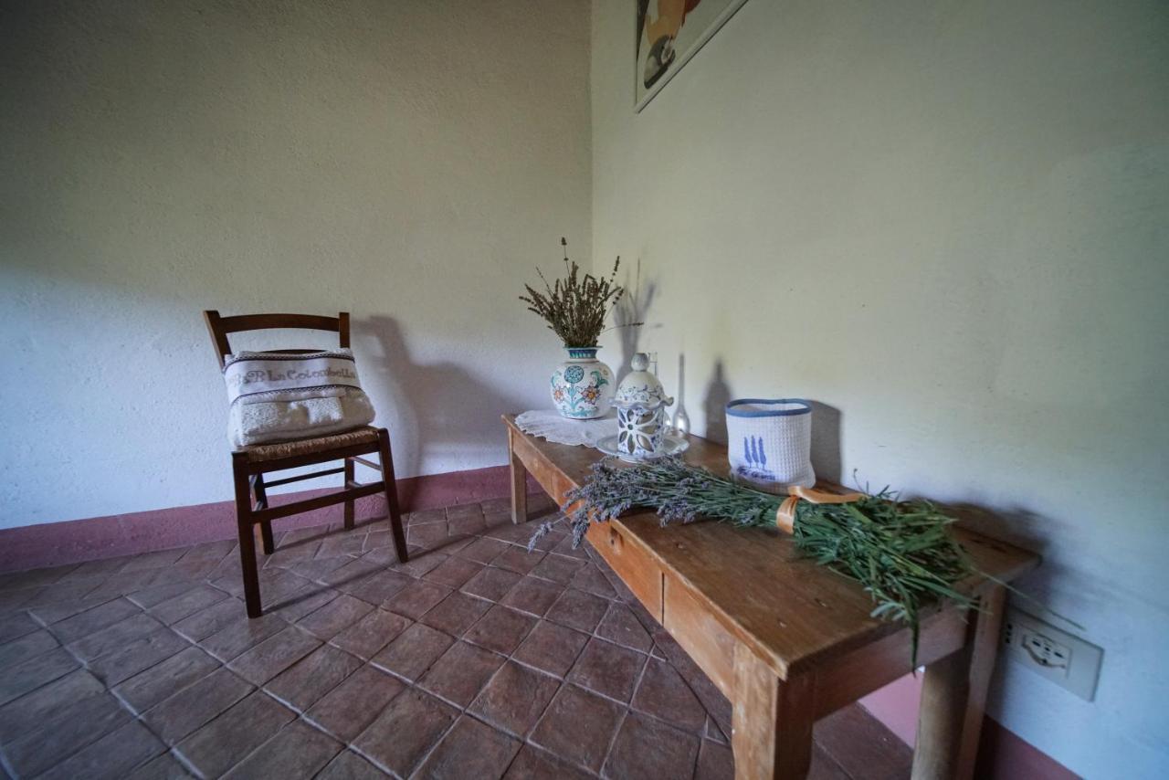 Agriturismo La Colombella 巴尼圣菲利波 外观 照片